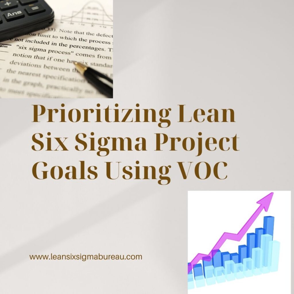 Prioritizing Lean Six Sigma Project Goals Using VOC - Lean Six Sigma Bureau